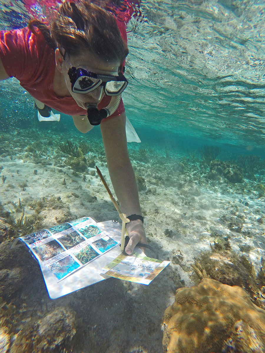 Patricia Murray ’09G studying the impact of climate change on coral reefs, Cayman Islands