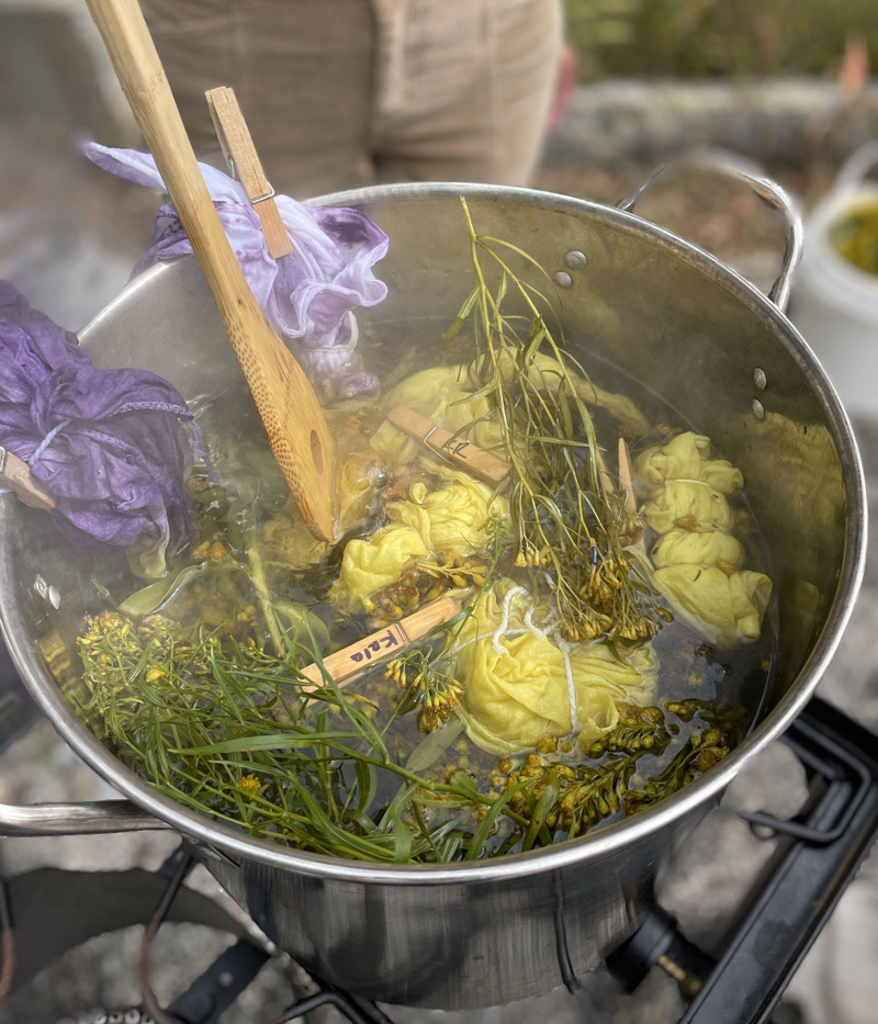 boiling pot with plants used for tie-dying rags